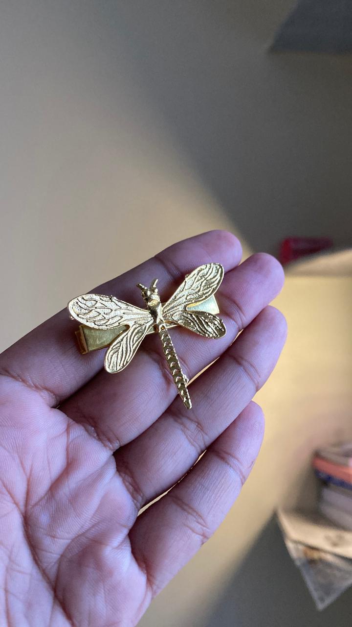 Dragon fly clip