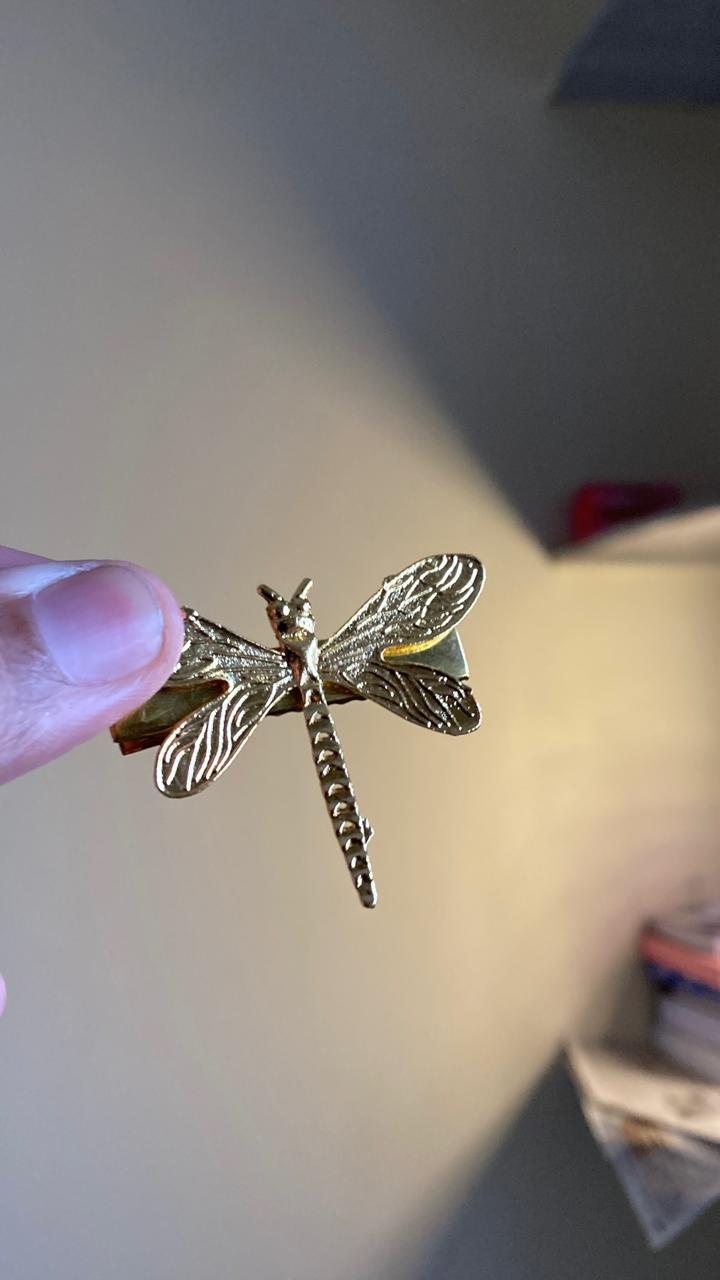 Dragon fly clip